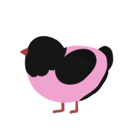 (unnamed), a pink and black chicken with a head pattern