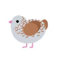 (unnamed), a mist and brown chicken with a half-lace pattern