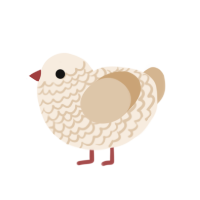 Caramel Latte, a cream and beige chicken with a lace pattern