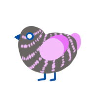 (unnamed), a grey and lavender chicken with a bar pattern