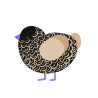 cute ID, a black and beige chicken with a double-lace pattern