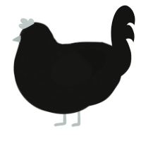 Leggy Void, a black chicken with a speckle pattern