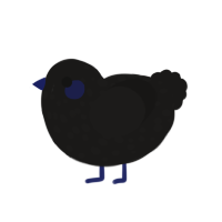 Alnitak, a sable chicken with a speckle pattern