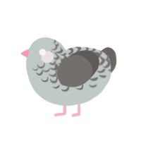 Pigeon, a silver and grey chicken with a half-lace pattern