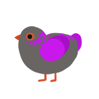 (unnamed), a grey and amethyst chicken with a neck-speckle pattern