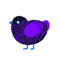 blurple on steroids, a sable and fuchsia chicken with a lace pattern