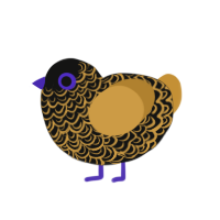 Man, a black and gold chicken with a double-lace pattern