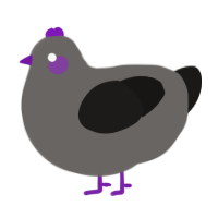 Hawkeye, a grey and sable chicken