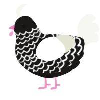 Alstaer Bawksong, a sable and white chicken with a head pattern