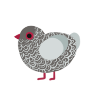 (unnamed), a grey and silver chicken with a double-lace pattern