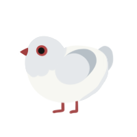 Project, a white and mist chicken with a head pattern