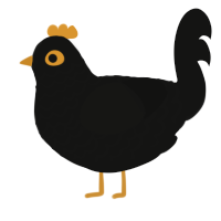 jungle mynah, a black chicken with a lace pattern