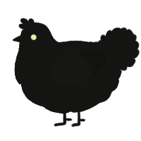 Seventeen, a black chicken with a double-lace pattern