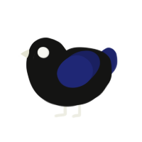 Cold, a black and navy chicken