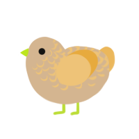 Clarke, a beige and honey chicken with a half-lace pattern