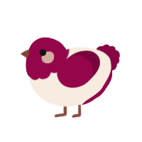 Red Velvet, a cream and maroon chicken with a head pattern