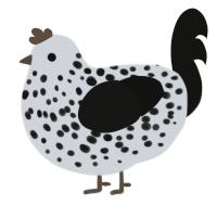 Sea Bunny, a mist and black chicken with a speckle pattern