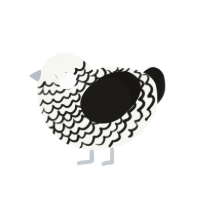 Nameless, a white and sable chicken with a lace pattern