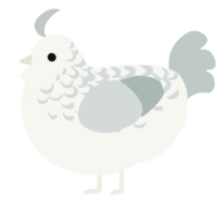 Puffeom, a white and silver chicken with a half-lace pattern