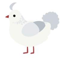 Snowfall, a white and mist chicken with a neck-speckle pattern