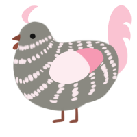 Fluffy, a ash and rose chicken with a bar pattern