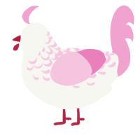 Lacey, a white and pink chicken with a half-lace pattern