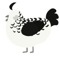 (unnamed), a white and black chicken with a half-lace pattern