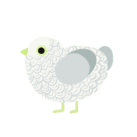 Zonai, a white and silver chicken with a double-lace pattern