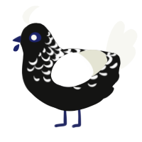 (unnamed), a black and white chicken with a half-lace pattern