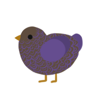 Coco, a bark and overcast chicken with a double-lace pattern