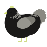 Black Velvet, a sable and ash chicken with a neck-speckle pattern