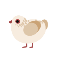 Yiga, a cream and beige chicken with a neck-speckle pattern