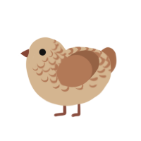 (unnamed), a beige and brown chicken with a half-lace pattern