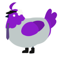 Defoko, a silver and violet chicken with a head pattern