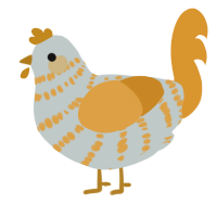 (unnamed), a silver and orange chicken with a bar pattern