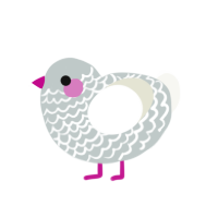 Cloudy, a silver and white chicken with a lace pattern