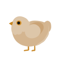 Chubs, a orange and beige chicken with a head pattern