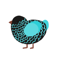 Northern Lights, a sable and aqua chicken with a lace pattern