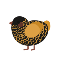 (unnamed), a sable and orange chicken with a lace pattern