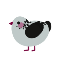 (unnamed), a silver and black chicken with a neck-speckle pattern