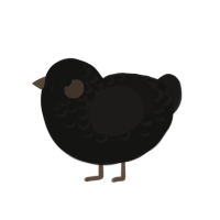 (unnamed), a black and sable chicken with a half-lace pattern