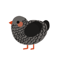 (unnamed), a grey and sable chicken with a lace pattern