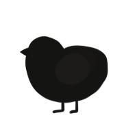 You cannot see me, a black and sable chicken