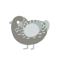 mist, a ash and silver chicken with a half-lace pattern