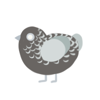 látigo, a grey and silver chicken with a half-lace pattern