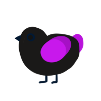 (unnamed), a sable and amethyst chicken