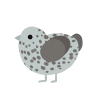 (unnamed), a silver and grey chicken with a speckle pattern