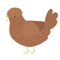 dirt, a brown chicken with a speckle pattern