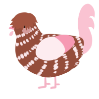 Rose, a russet and rose chicken with a bar pattern