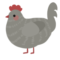 A ash chicken with a bar pattern